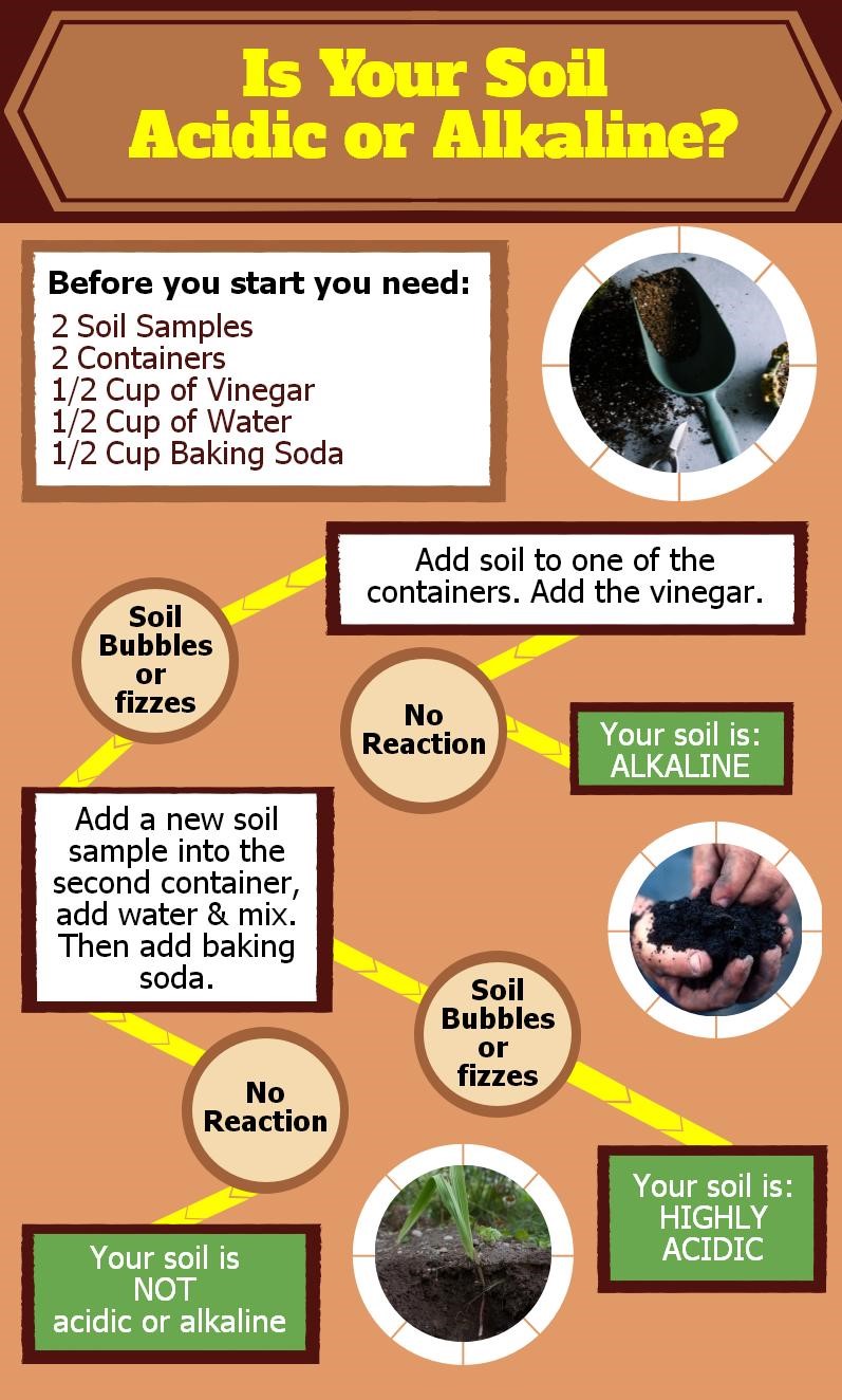 Is Your Soil Acidic or Alkaline