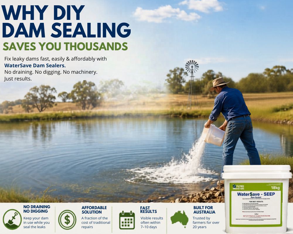 Why DIY Dam Sealing Saves You Thousands