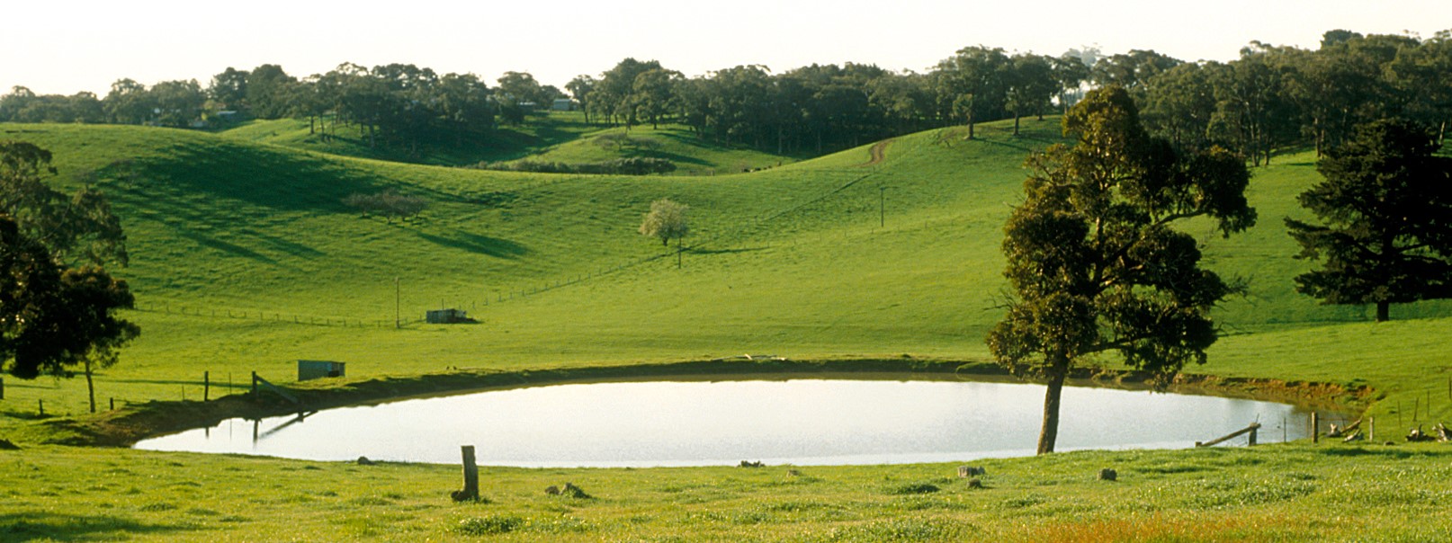 How to Detect a Water Leak in an Earth-based Dam or Pond