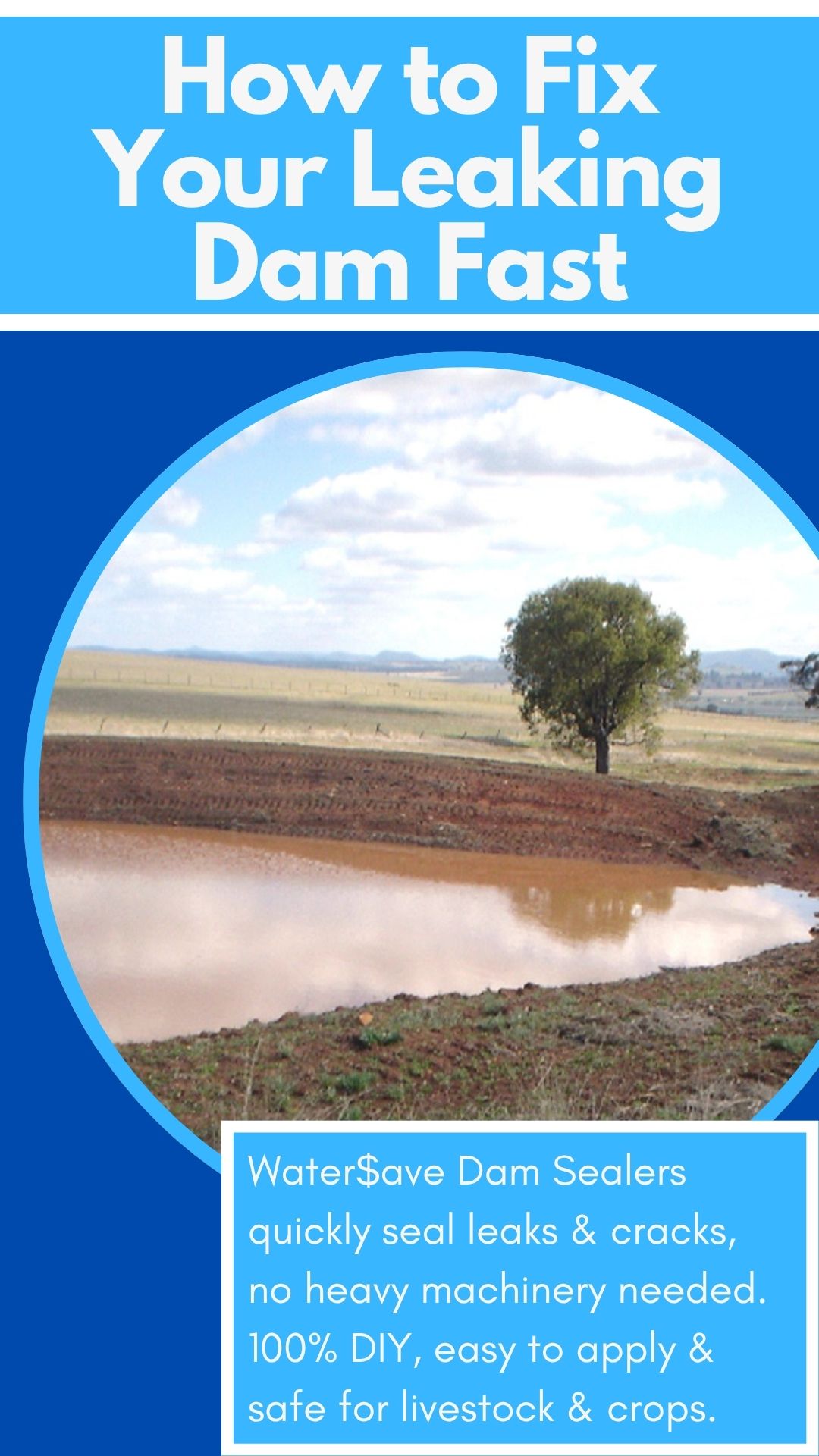 Is Your Dam Leaking? How to Spot the Signs Before It Gets Worse