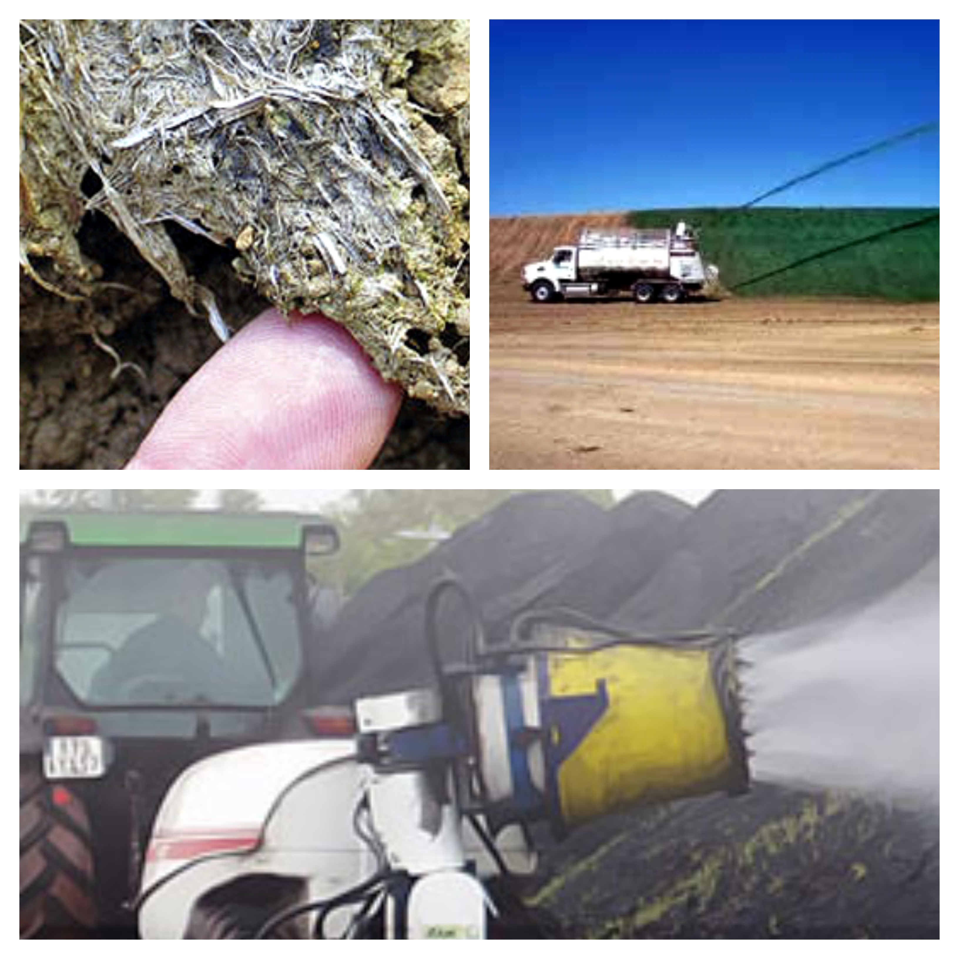 What is the Difference Between Hydro-Seeding & Hydro-Mulching?
