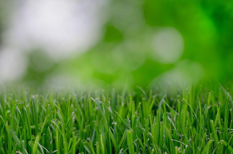 Super Absorbent Polymer Hydrogels: A Smart Solution for Water-Efficient Turf