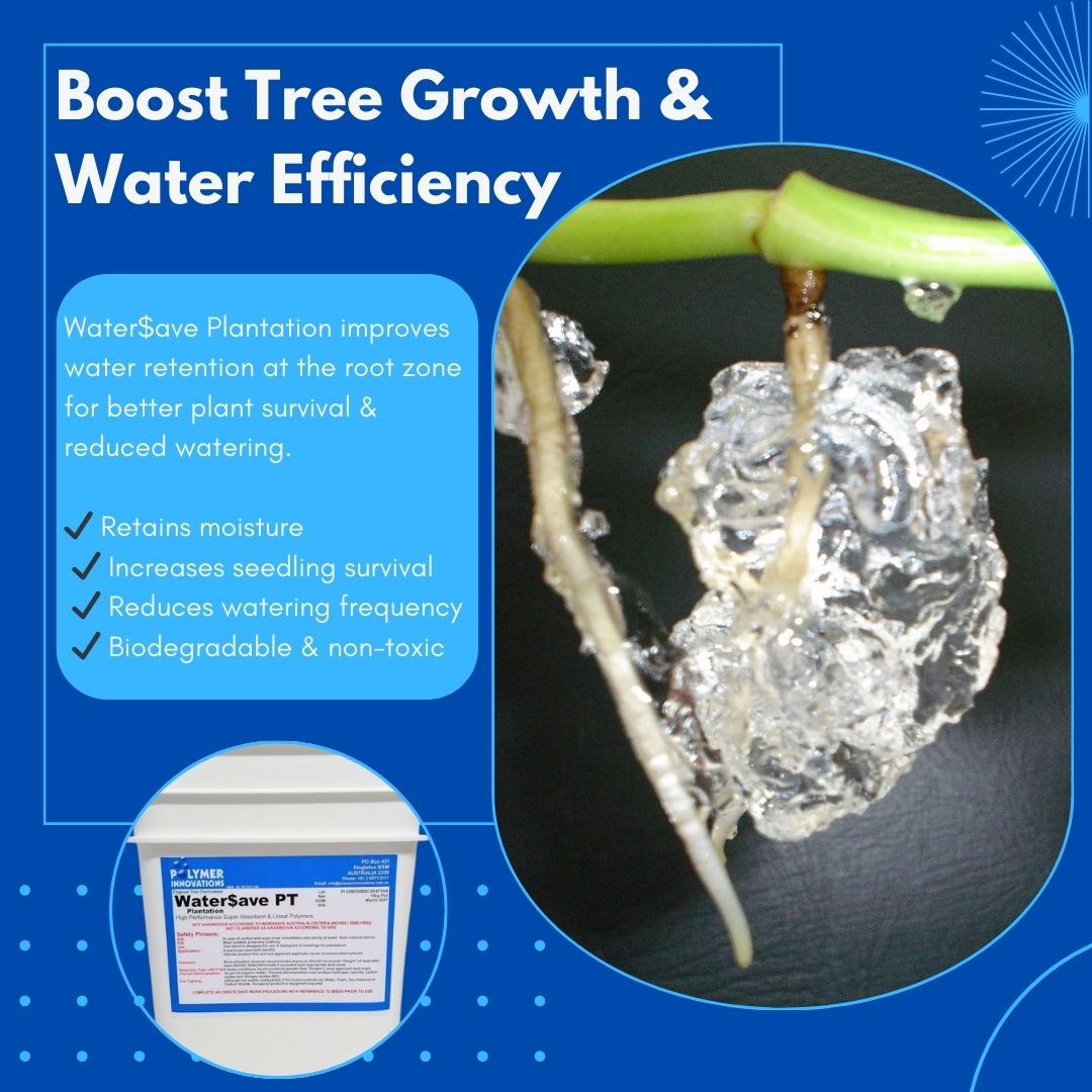 Tree Planting Made Easy: Reduce Watering with Super Absorbent Polymers