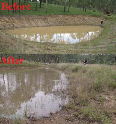 Prepare Your Dam for Summer 
