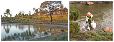Leaking Dam or Pond?