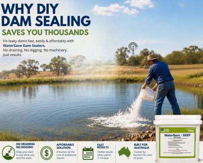 Why DIY Dam Sealing Saves You Thousands