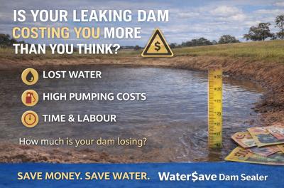 Is Your Leaking Dam Costing You More Than You Think?