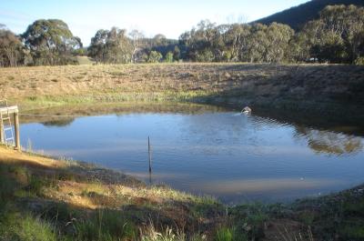Diagnosing Dam Water Loss: How to Tell If It's a Leak or Something Else