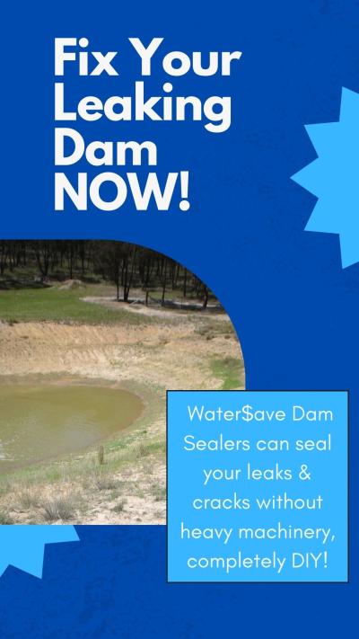 Stop Your Dam from Leaking – The Easy & Affordable Way!