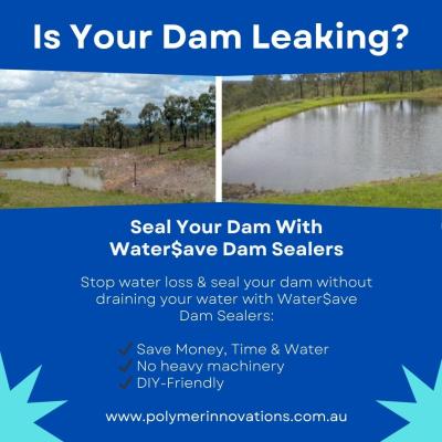 When Is the Best Time to Seal a Leaking Dam?