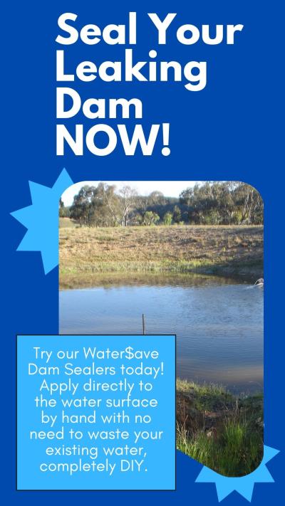 How to Fix a Leaking Dam Without Draining It