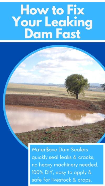 Is Your Dam Leaking? How to Spot the Signs Before It Gets Worse