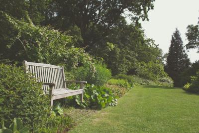 The Use of Super Absorbent Polymers in the Home Garden