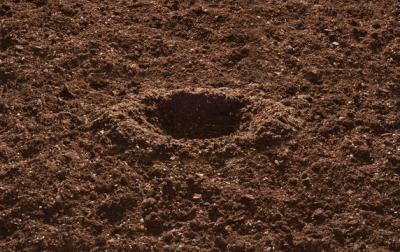 Test For Well-Draining Soil 