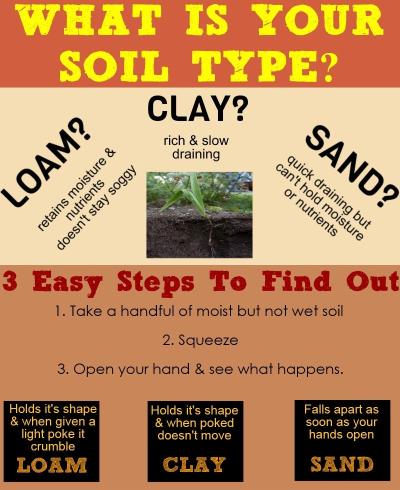 What Is your Soil Type?