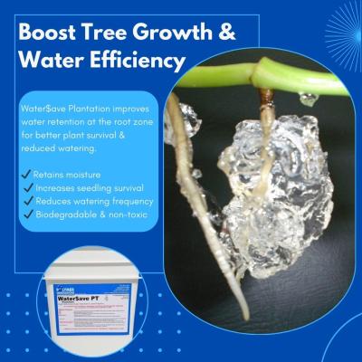 Tree Planting Made Easy: Reduce Watering with Super Absorbent Polymers