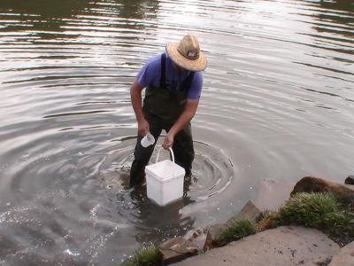 Dam Sealer Application