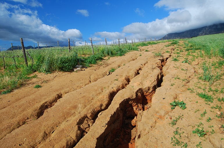 The Use of Polyacrylamide (PAM) Lineal Polymer Solution for Erosion Control