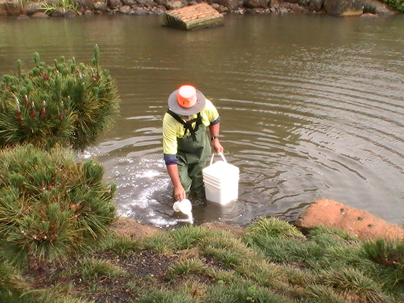 Leaking Dam or Pond?