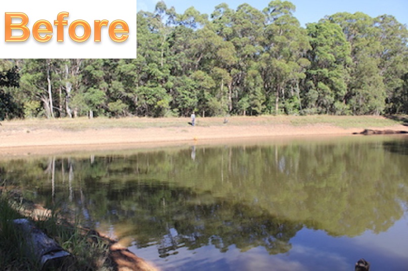 Fix Your leaking Dam