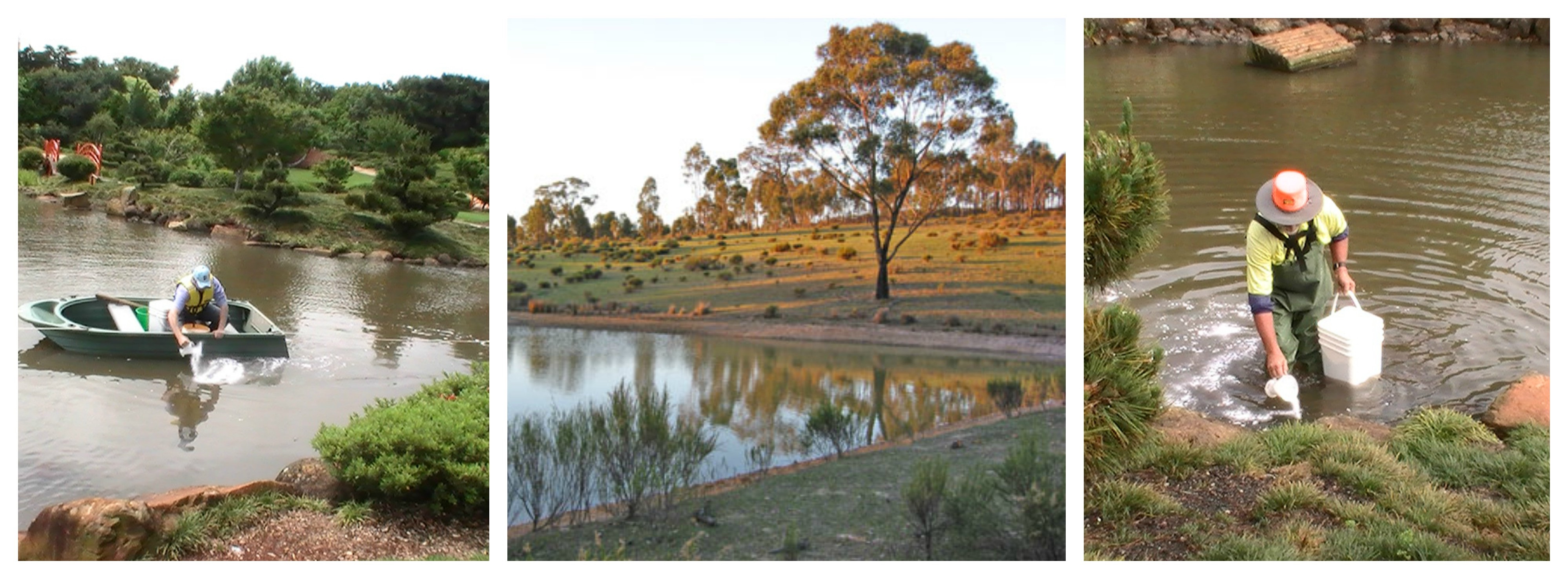 Leaking Dam or Pond?