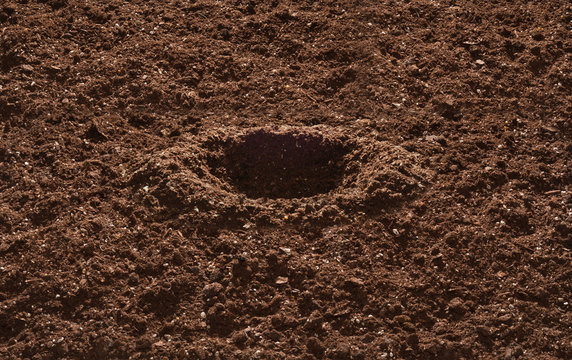 Test For Well-Draining Soil