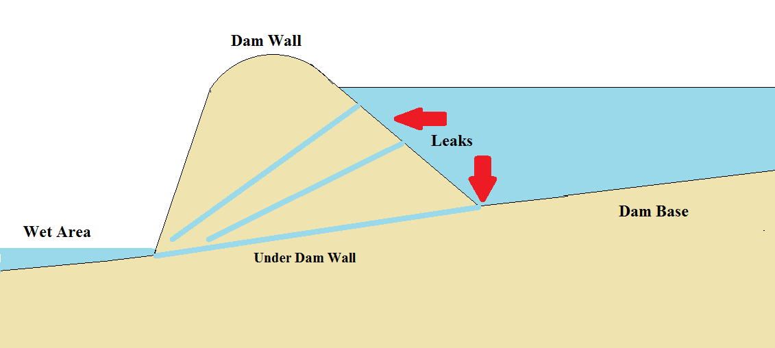 Leaking Dam or Pond