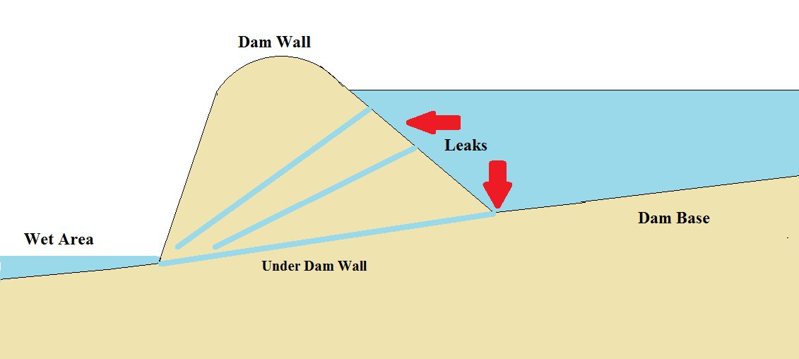 Signs Your Dam or Pond Is Leaking