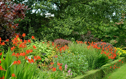 Garden bed with beautiful plants